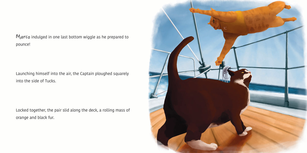 Book 3: Furocious! The Adventures of Captain Marco (Hardcover)