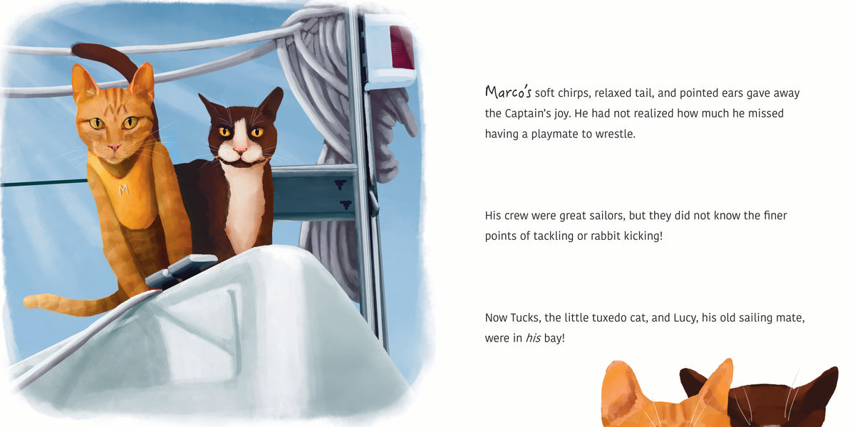 Book 3: Furocious! The Adventures of Captain Marco (Hardcover)